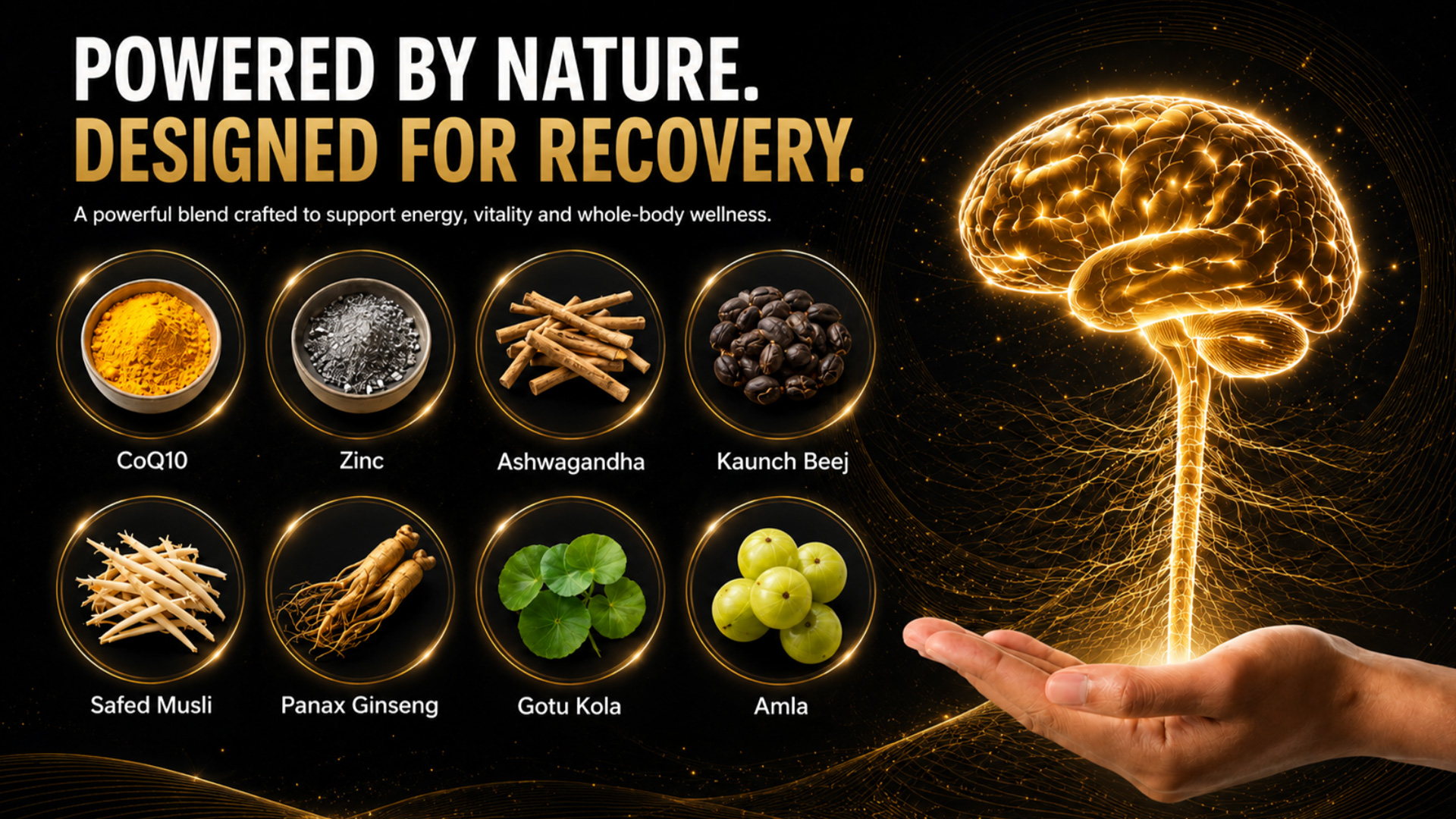 Z-Drive natural herbal ingredients designed for energy vitality and recovery