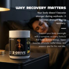 Z-Drive recovery formula for overnight recovery and wellness support